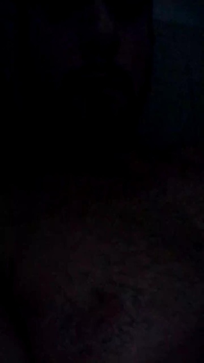 Gatinho_spain Live Image