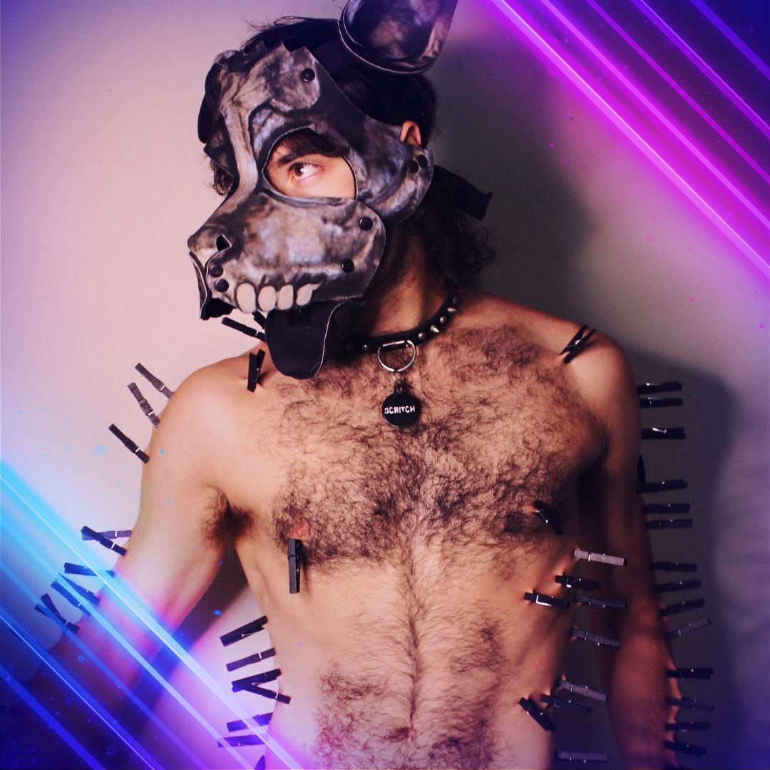 HHScritch Live Image