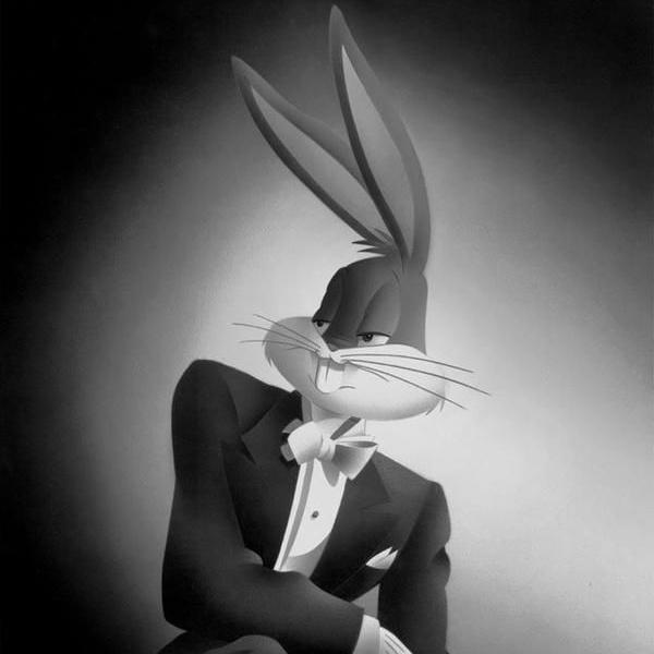 Hottibunny Live Image
