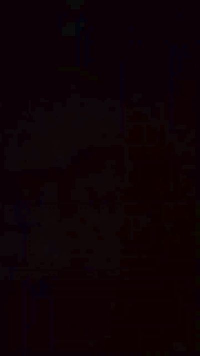 Perledonne Live Image