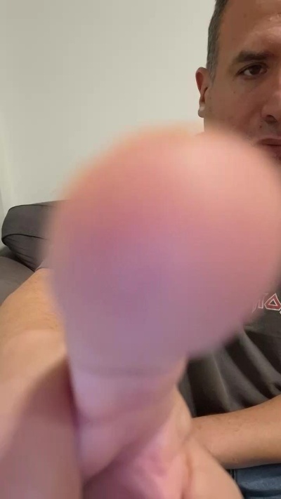 Viesvetvarken Live Image