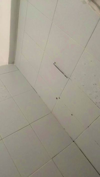 Yhot_ Live Image