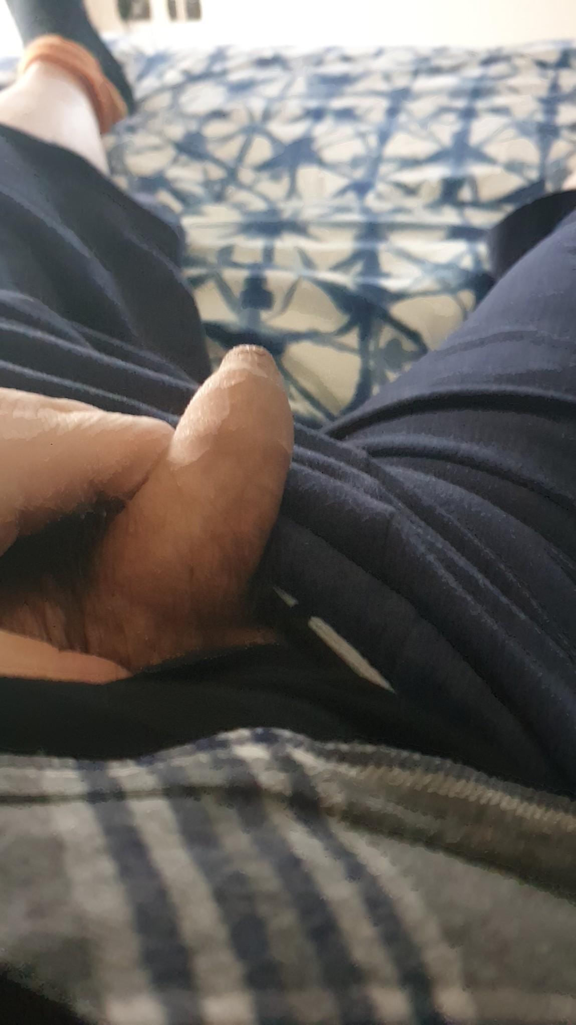 belciccio2
