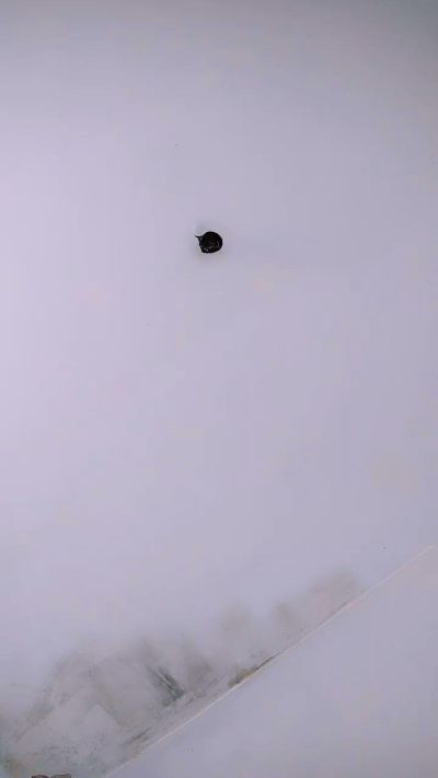 jujualmeida4 Live Image