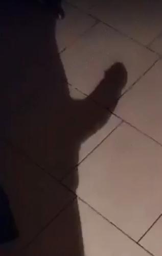 maxou9298 Live Image