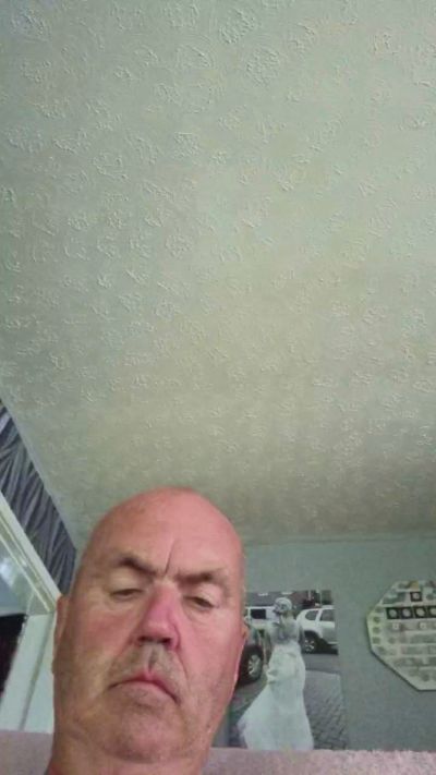 toffers Live Image