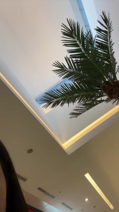 Juliagosto live from Brazil