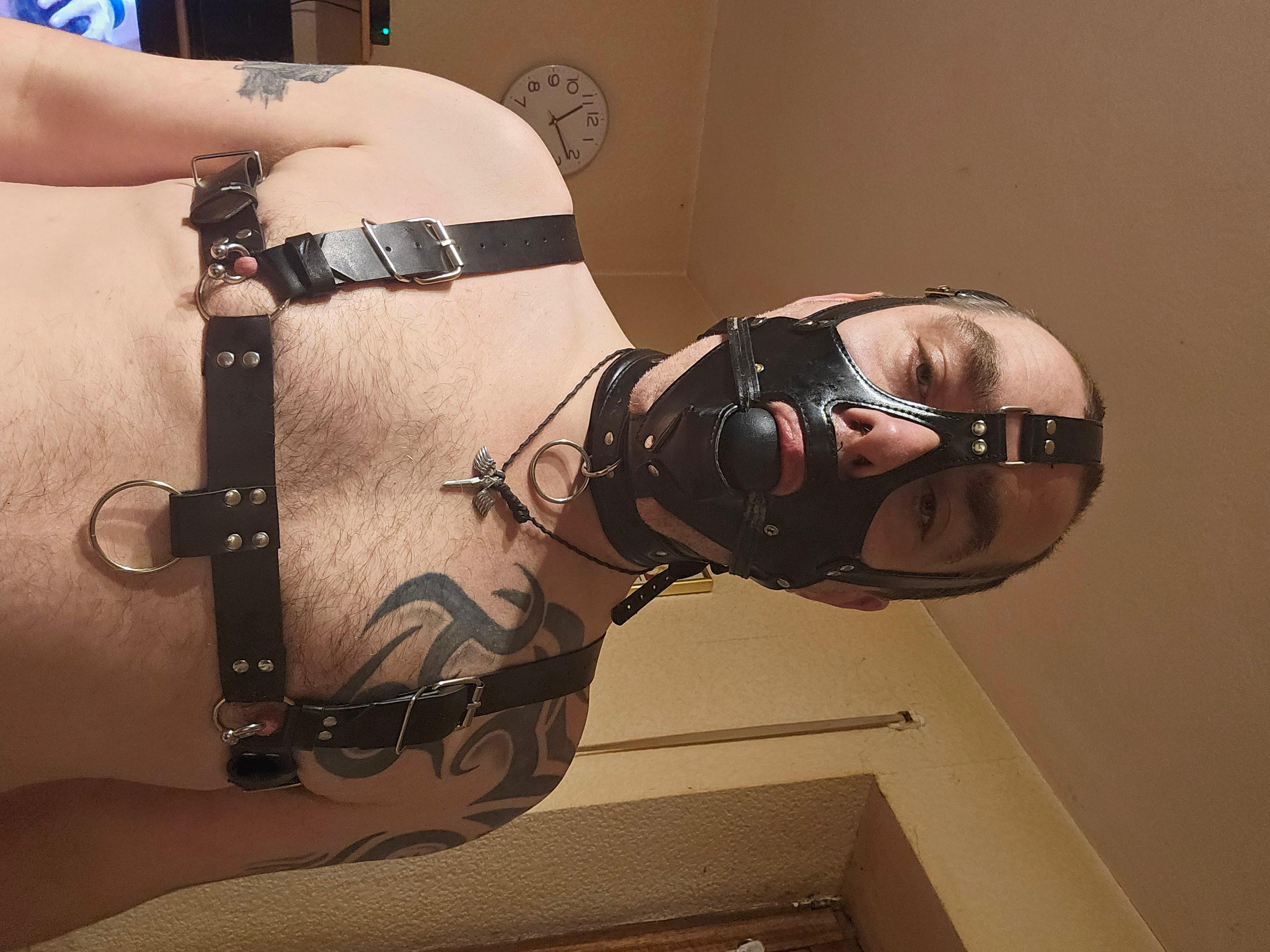 Locked_slave44 live from Germany