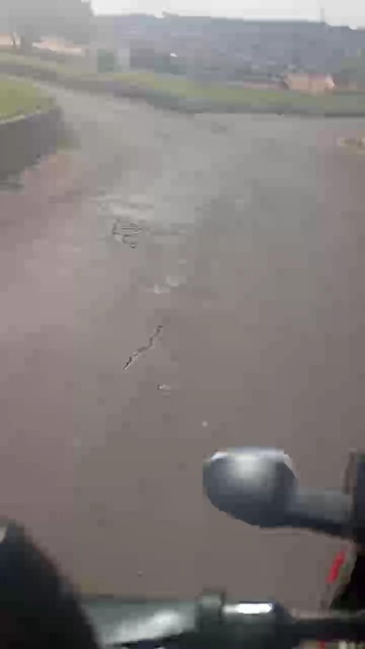 Safadinho2304 live from Brazil