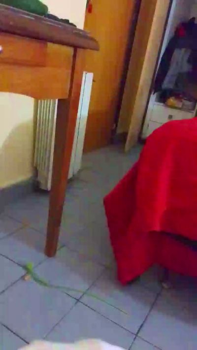 Universalsmilee live from Argentina
