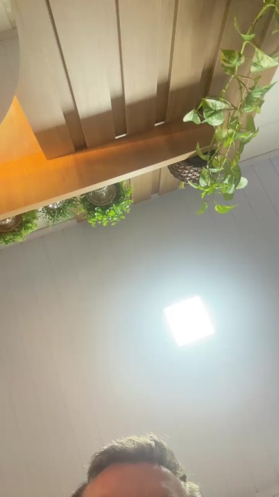 gato_rs_bras live from Brazil