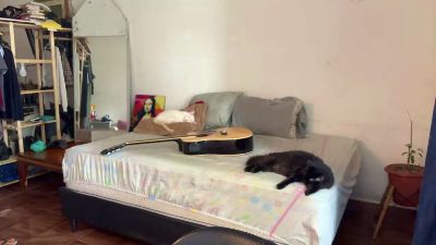 gerson229 live from Brazil