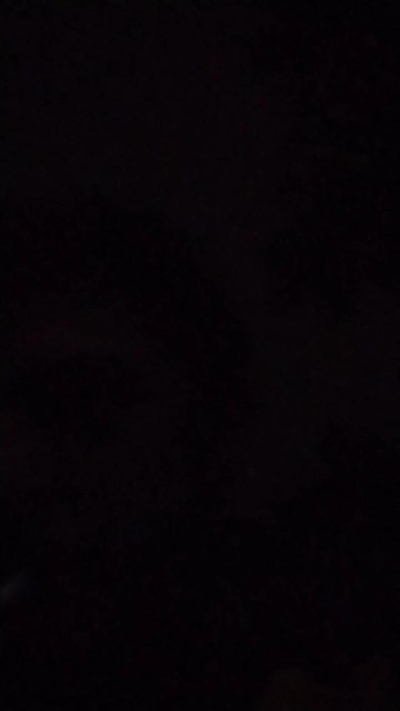 roratinho live from Brazil